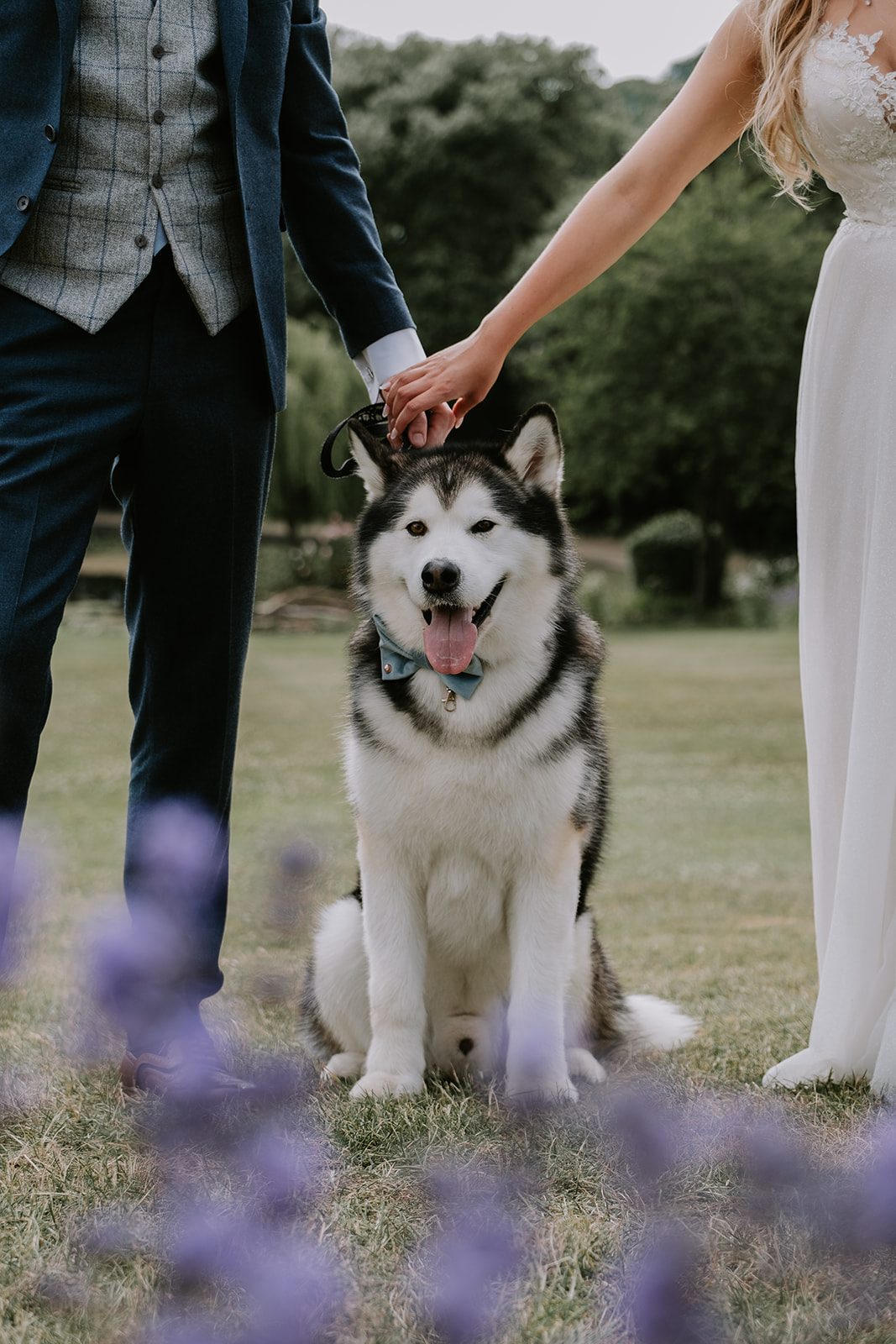 Jessie and Kyle with their dog wearing a blue bow tie